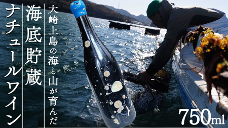 海底貯蔵 ワイン 「海底貯蔵 エヌ by Vignoble de NAKA rouge MBA」【2026年6月以降発送】