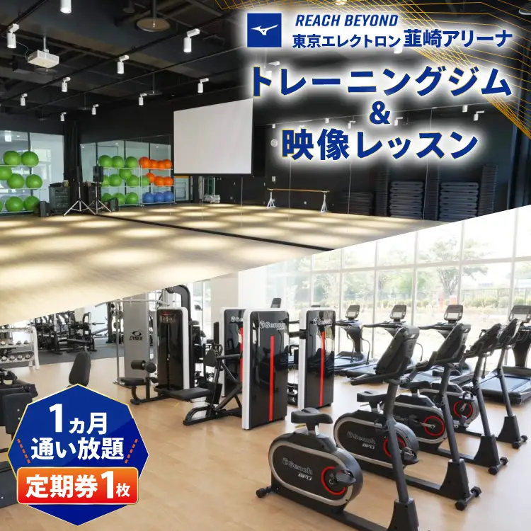 東京エレクトロン 韮崎アリーナ トレーニングジム＆映像レッスン1ヵ月定期券 1枚 [美津濃株式会社 山梨県 韮崎市 20745310]
