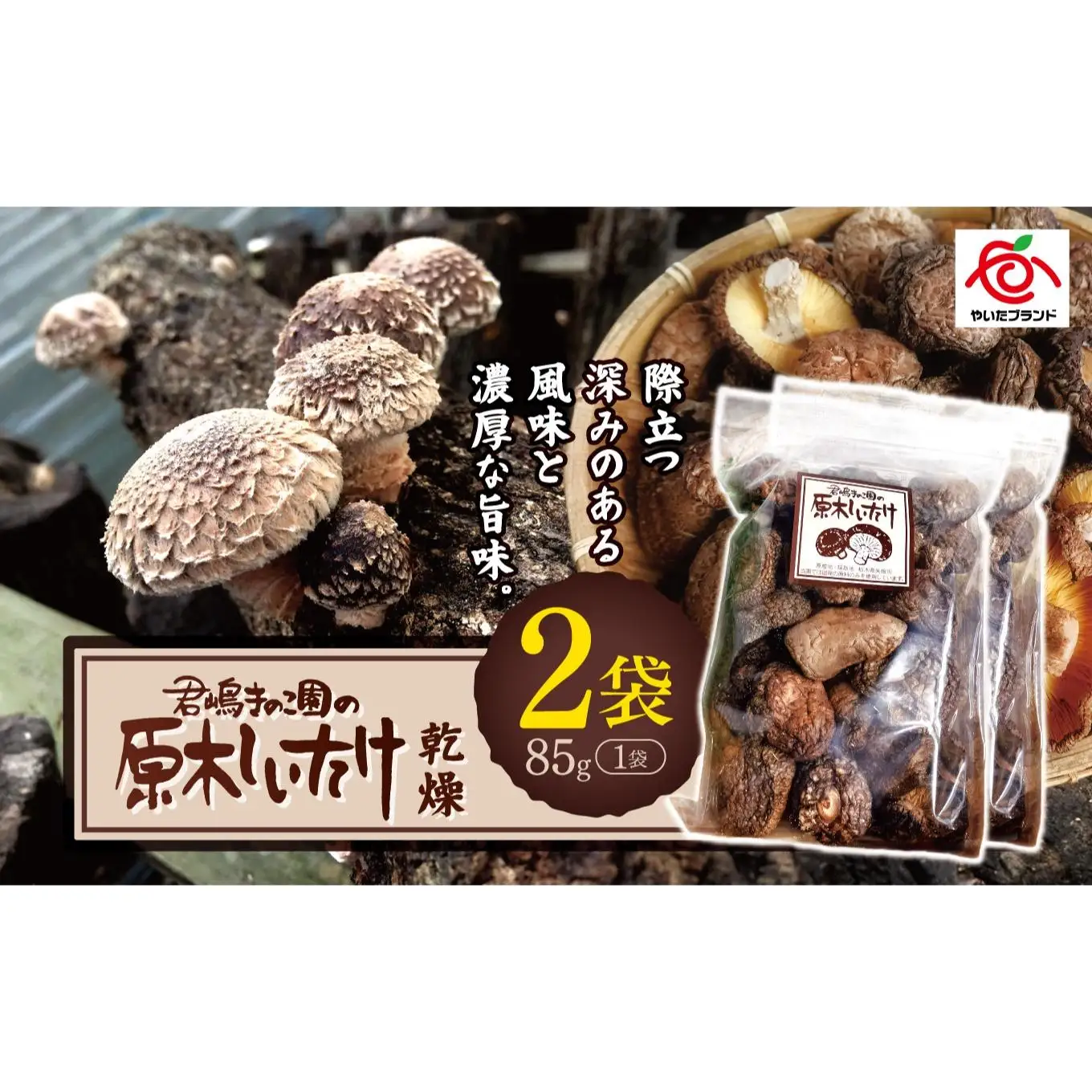 乾燥しいたけ 2袋｜徳用 家庭用 栃木県 矢板市 しいたけ 椎茸 産地直送  乾燥