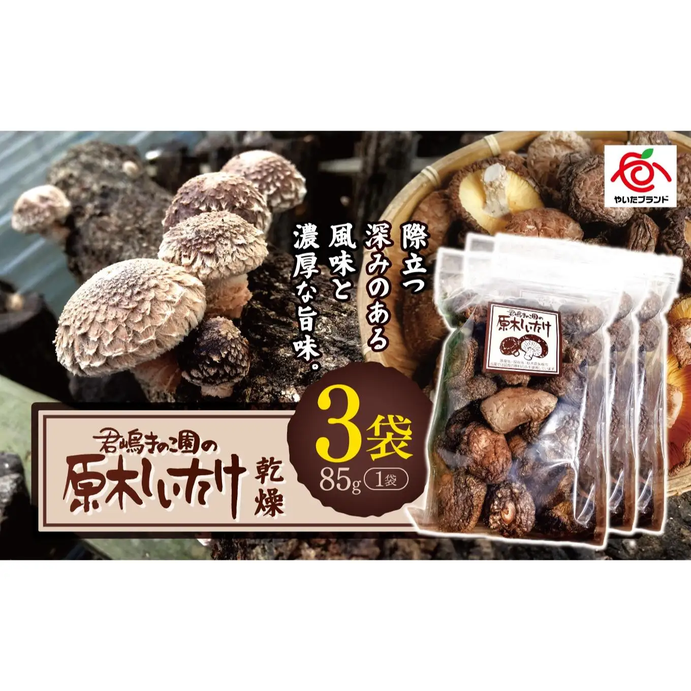 乾燥しいたけ 3袋｜徳用 家庭用 栃木県 矢板市 しいたけ 椎茸 産地直送  乾燥