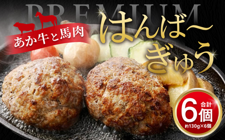 【菅乃屋×オオツカ コラボ】はんば～ぎゅう 計約780g（約130g×6個セット） ハンバーグ 馬肉 あか牛 赤身 ヘルシー 牛肉 お肉 個包装 冷凍 国産 熊本県 高森町