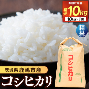 先行予約 令和8年産 米 コシヒカリ 10kg 精米 鹿嶋市産
