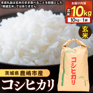 先行予約 令和8年産 米 コシヒカリ 10kg 玄米 鹿嶋市産