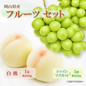 岡山県産 フルーツセット(シャインマスカット1房・白桃1玉)  果物 フルーツ 詰め合わせ ぶどう ブドウ 葡萄 シャインマスカット 桃 白桃 国産
