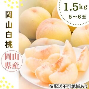 桃 2026年先行予約 岡山県産 白桃 岡山白桃1.5kg箱 5～6玉