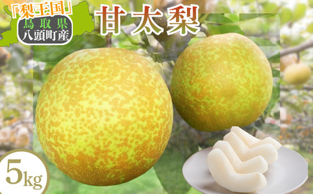 Y1049 八頭町産　梨「甘太梨」5kg【梨 なし ナシ 果物 フルーツ ギフト 先行予約 甘い 果実 果汁 デザート もぎたて 旬 新甘泉好きな方におすすめ】