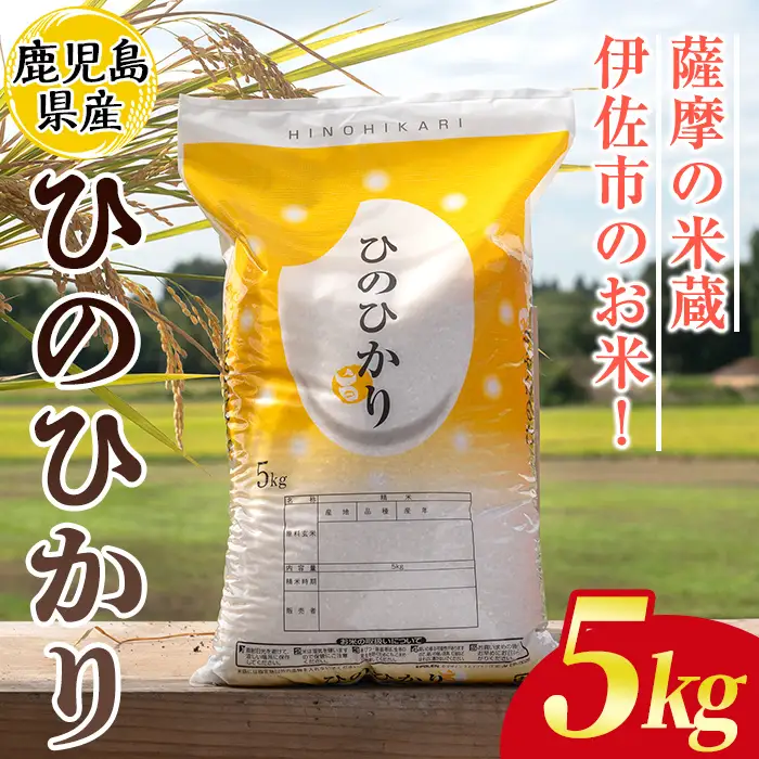 isa807 鹿児島県産ひのひかり(5kg) 国産 鹿児島県 米 お米 白米 伊佐米 【赤崎農園】
