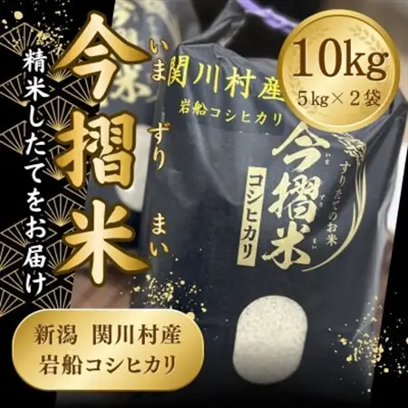R7年産 関川村産 岩船コシヒカリ 今摺米 10kg(精米5kg×2袋)[JA北新潟]【1701353】