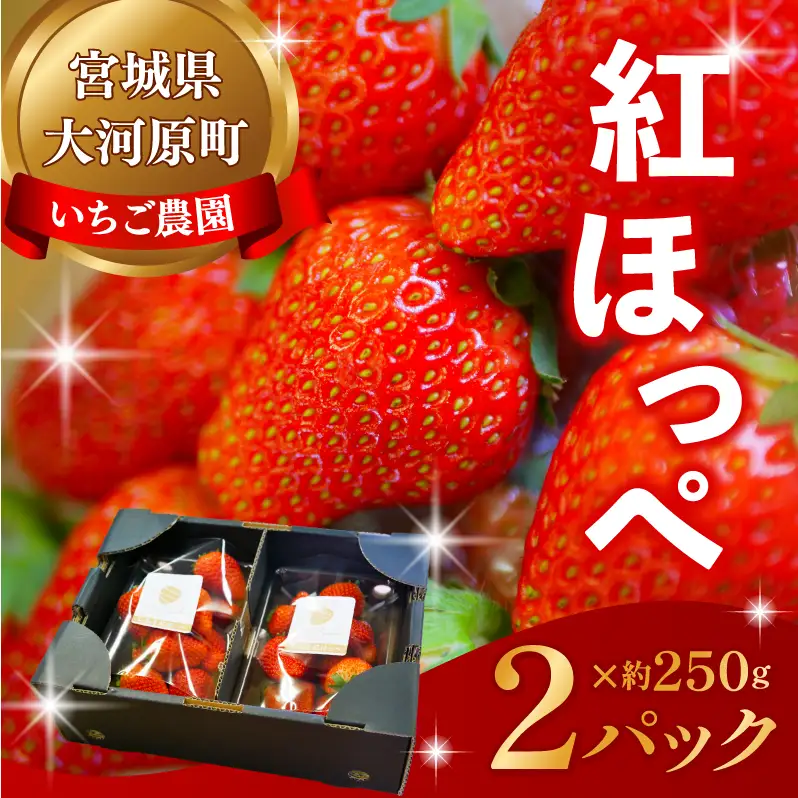 大河原町のいちご 完熟いちご 2パック 果物 フルーツ 苺 紅ほっぺ かおり みずみずしい ジューシー 期間限定 季節限定 いちご 小分け