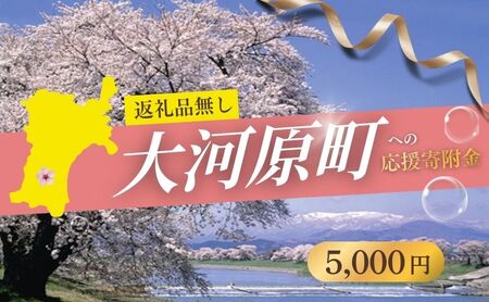 【返礼品なし応援寄附】宮城県大河原町（5,000円） 