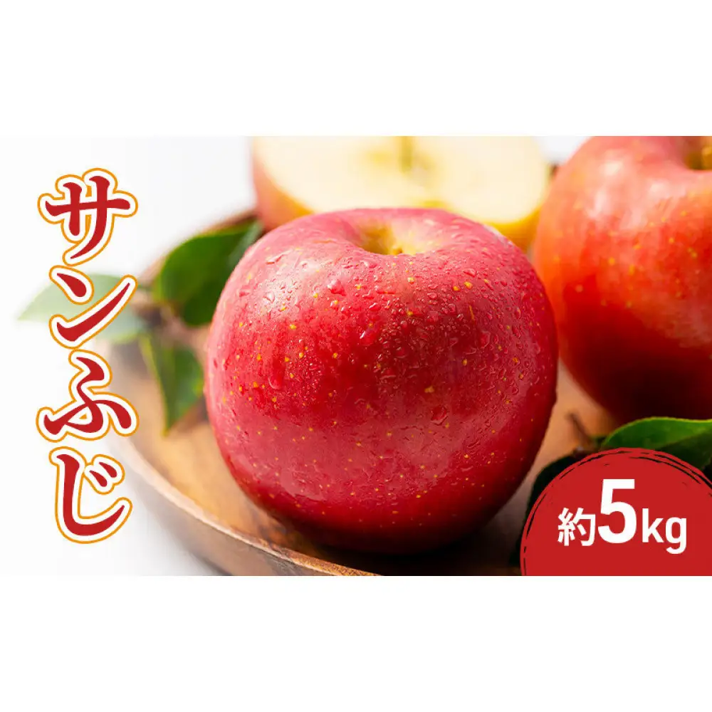 2026年産先行予約サンふじ 5kg 果物 フルーツ りんご 長野県 | りんご 