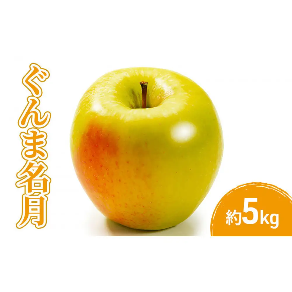 2026年産先行予約ぐんま名月5kg 果物 フルーツ りんご 長野県 | りんご