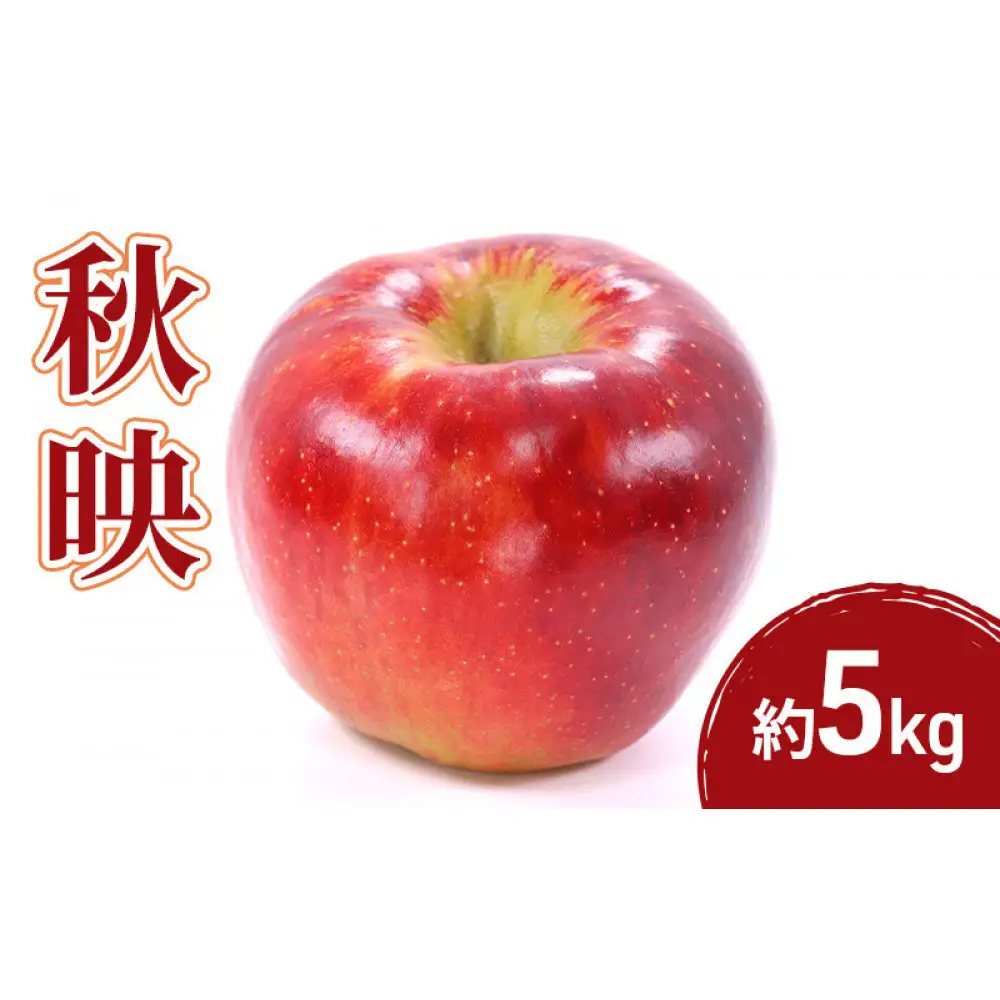 2026年産先行予約秋映 5kg 果物 フルーツ りんご 長野県 | りんご