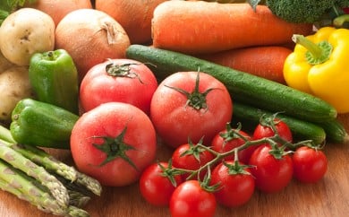 季節の野菜お楽しみセット　ふれあい広場ふくま[F0050]