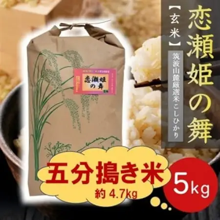 【玄米5kg⇒五分搗き米】筑波山麓厳選★検査1等米こしひかり【恋瀬姫の舞】令和7年産【配送不可地域：離島・沖縄県】【1700075】