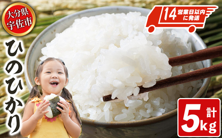 宇佐市産ヒノヒカリ(計5kg) ＜北海道 沖縄 離島配送不可＞米 お米 ヒノヒカリ ひのひかり 白米 ご飯 大分県産 5kg【119000401】【カネガエ】