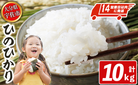 宇佐市産ヒノヒカリ（計10kg・5kg×2袋） ＜北海道 沖縄 離島配送不可＞米 お米 ヒノヒカリ ひのひかり 白米 ご飯 大分県産 10kg【119000501】【カネガエ】