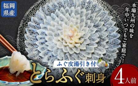とらふぐ刺身 菊盛り 一尺 大皿 30cm ふぐ皮湯引き付 4人前 トラフグ フグ刺身 てっさ 冷凍 岡垣町