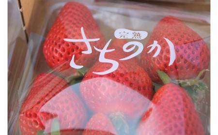 【2027年1月発送開始】「さちのか」いちご300g×4P計1,200g★あんずの里[H4127]