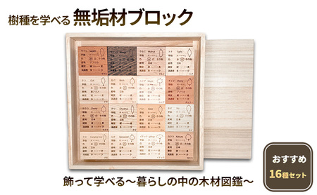 樹種を学べる 無垢材ブロック　おすすめ16種セット　 飾って学べる、暮らしの中の木材図鑑 