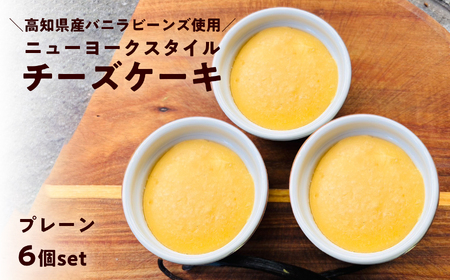 ニューヨークスタイルチーズケーキ プレーン 6個セット　高知県産バニラビーンズ使用 スイーツ ギフト お取り寄せ