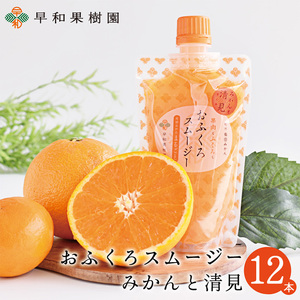 【早和果樹園】おふくろスムージーみかんと清見12本入り 飲むみかんゼリー(パウチタイプのジュレ)(B1092-1)