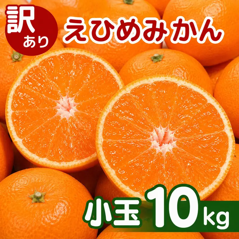 【先行予約】訳あり 愛媛みかん 小玉 10kg 傷み補償 500g 清家ばんかんビレッジ