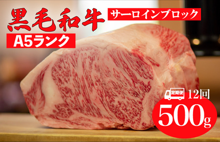 【全12回定期便】黒毛和牛 A5ランク サーロインブロック 500g 冷蔵 国産牛 ステーキ ブロック肉 BBQ