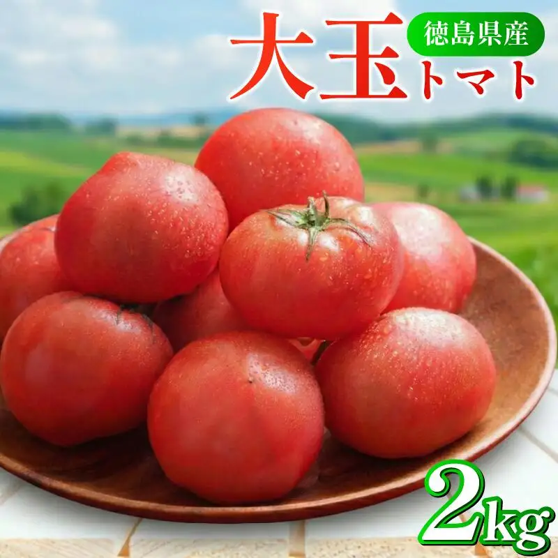 大玉トマト 2kg 【徳島県産】| トマト