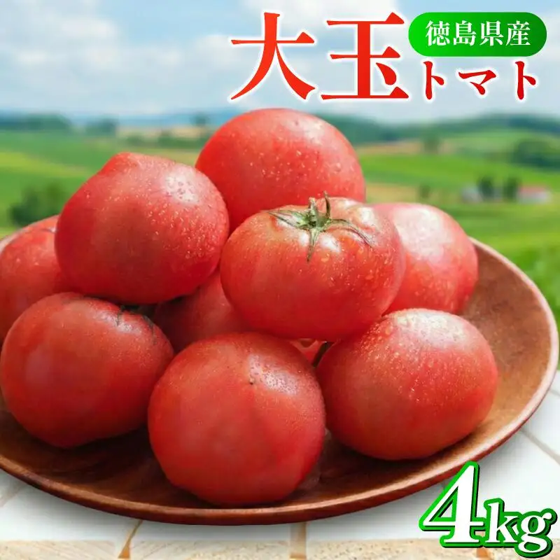 トマト 4kg 大玉 とまと
