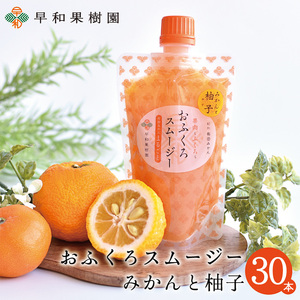【早和果樹園】おふくろスムージーみかんと柚子30本入り 飲むみかんゼリー(パウチタイプのジュレ)(B1097-1)