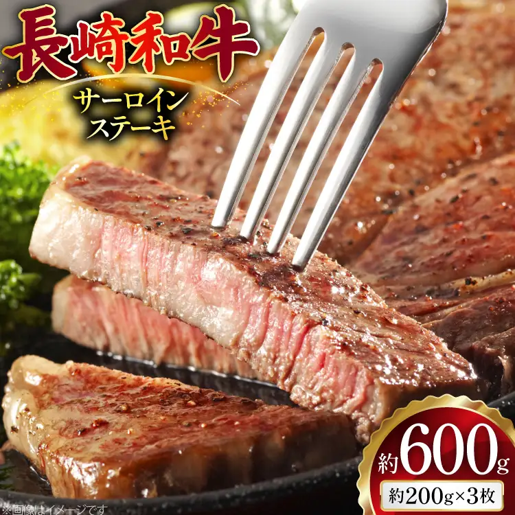 AJ495 長崎和牛 サーロイン ステーキ 約600g(200g×3枚) [ 肉 牛肉 和牛 高級 おいしい ステーキ肉 まるしん商会 黒牛 長崎県 島原市 ]
