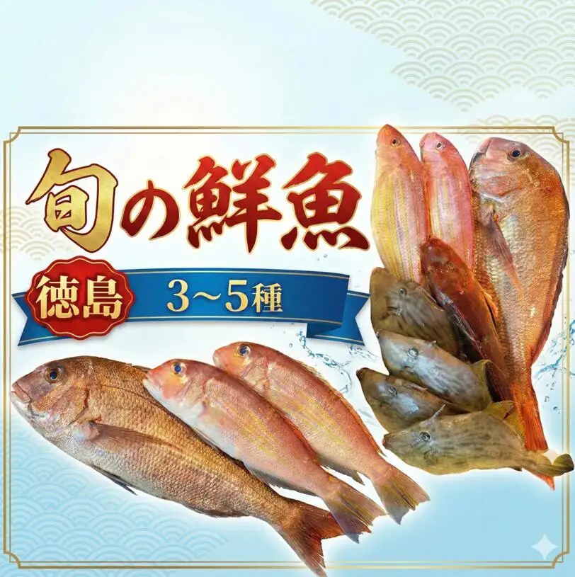 鮮魚 お試し 3～5種 徳島県産 鮮魚