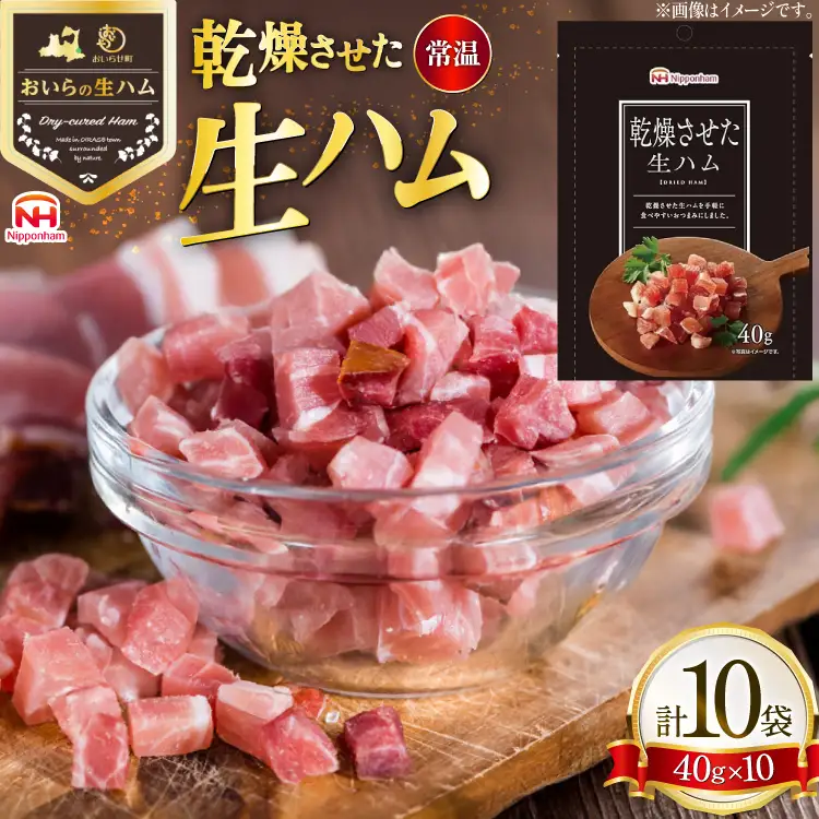 乾燥させた 生ハム 40g 10袋 [日本ハムマーケティング 青森県 おいらせ町 oi02ayo820023]