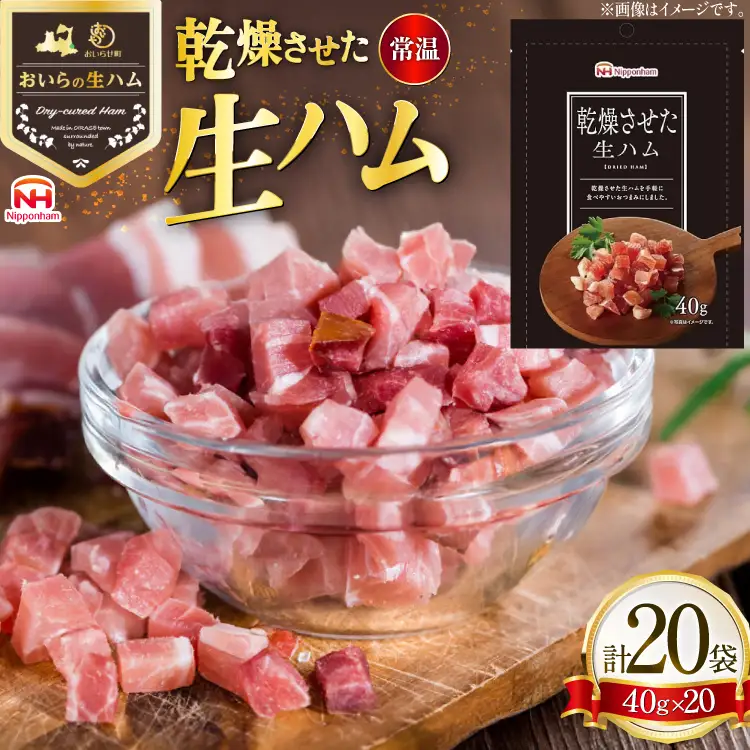 乾燥させた 生ハム 40g 20袋 [日本ハムマーケティング 青森県 おいらせ町 oi02ayo820022]