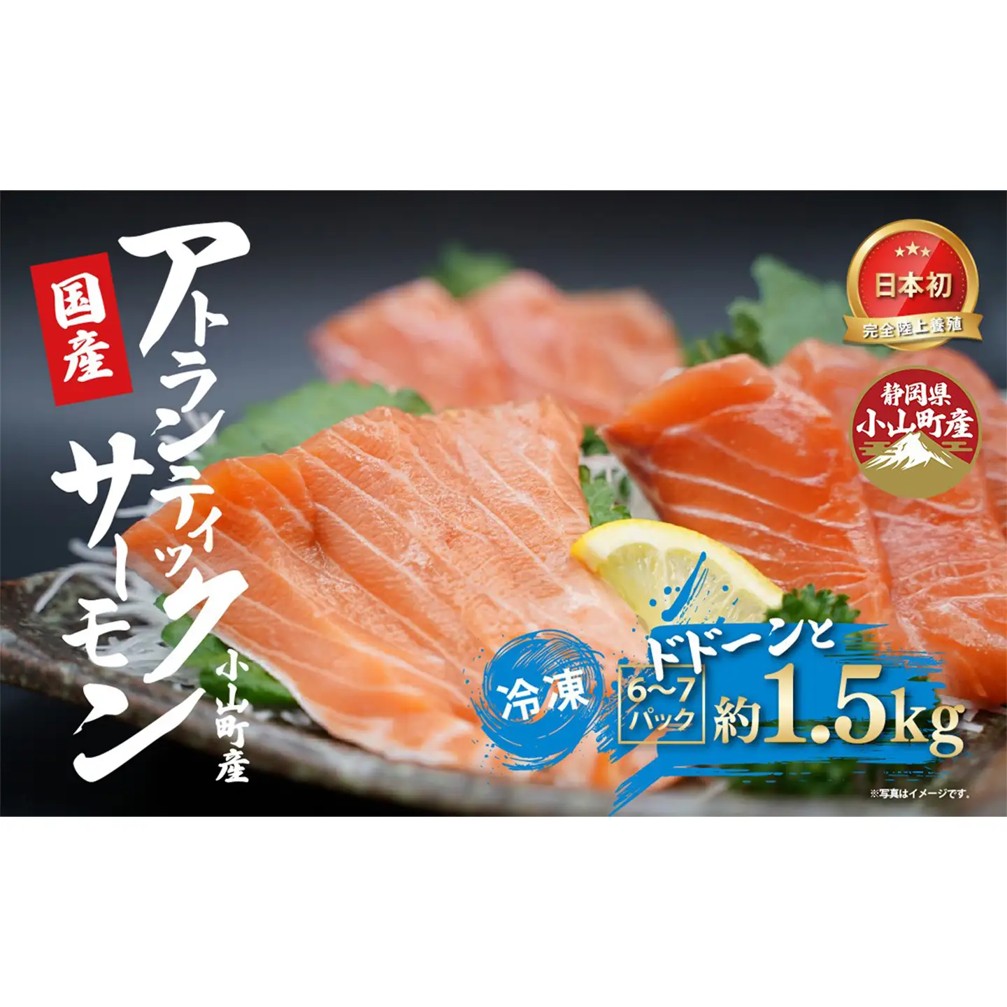 サーモン 冷凍 6～7P 約1.5kg サーモン
