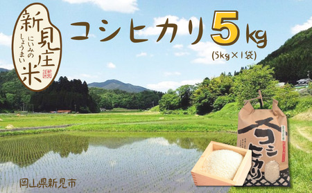 【令和7年産】新見庄米 コシヒカリ 白米 5kg （5kg×1袋）
