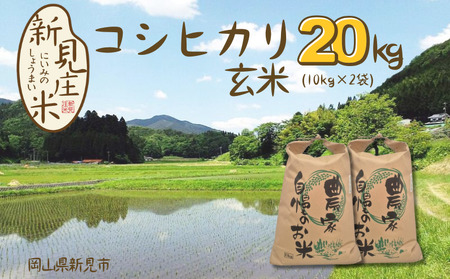 【令和7年産】新見庄米 コシヒカリ 玄米 20kg （10kg×2袋）