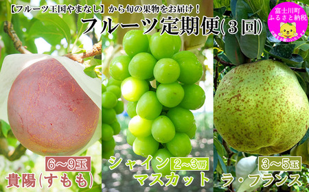【2026年発送分】【数量限定】【やまなしフルーツ定期便（３回）】 貴陽（すもも）（６-９玉）＆シャインマスカット（２kg前後・３-４房）＆ラ・フランス（1.5kg以上・３-５玉）　定期便　果物 フルーツ くだもの すもも 貴陽 李 プラム シャイン 洋ナシ 洋梨 洋なし 山梨 やまなし 富士川町