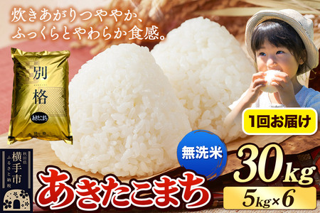 《令和7年産》 米 あきたこまち 30kg（5kg×6袋） 【無洗米】 秋田県産
