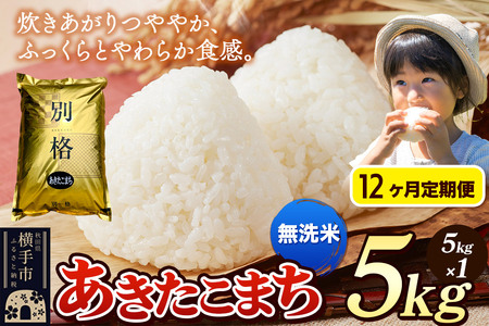 《令和7年産》《定期便12ヶ月》 米 あきたこまち 5kg 【無洗米】 秋田県産