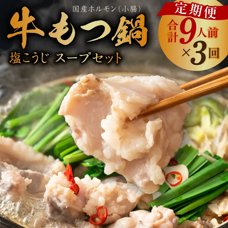 【定期便】牛もつ鍋セット 9人前 全3回