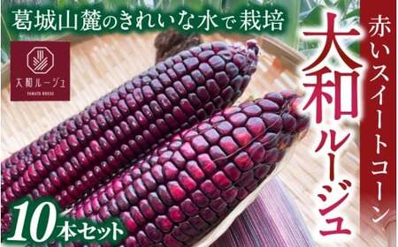 とうもろこし  先行予約 奈良県産 大和ルージュ 計10本 令和8年産 【2026年7月中旬～10月中旬順次発送】 葛城市【smlk037】