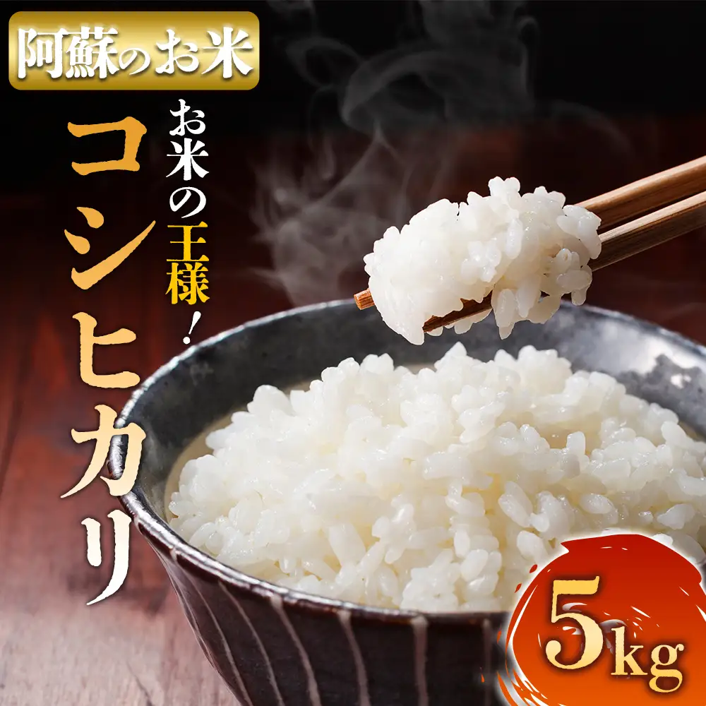 【選べる回数】R7年産コシヒカリ 5kg プロ厳選の産地直送米　白米 お米 人気 美味しい 白ご飯 こだわり 農業 甘味 香り ツヤ お米の王様 熊本県 阿蘇市