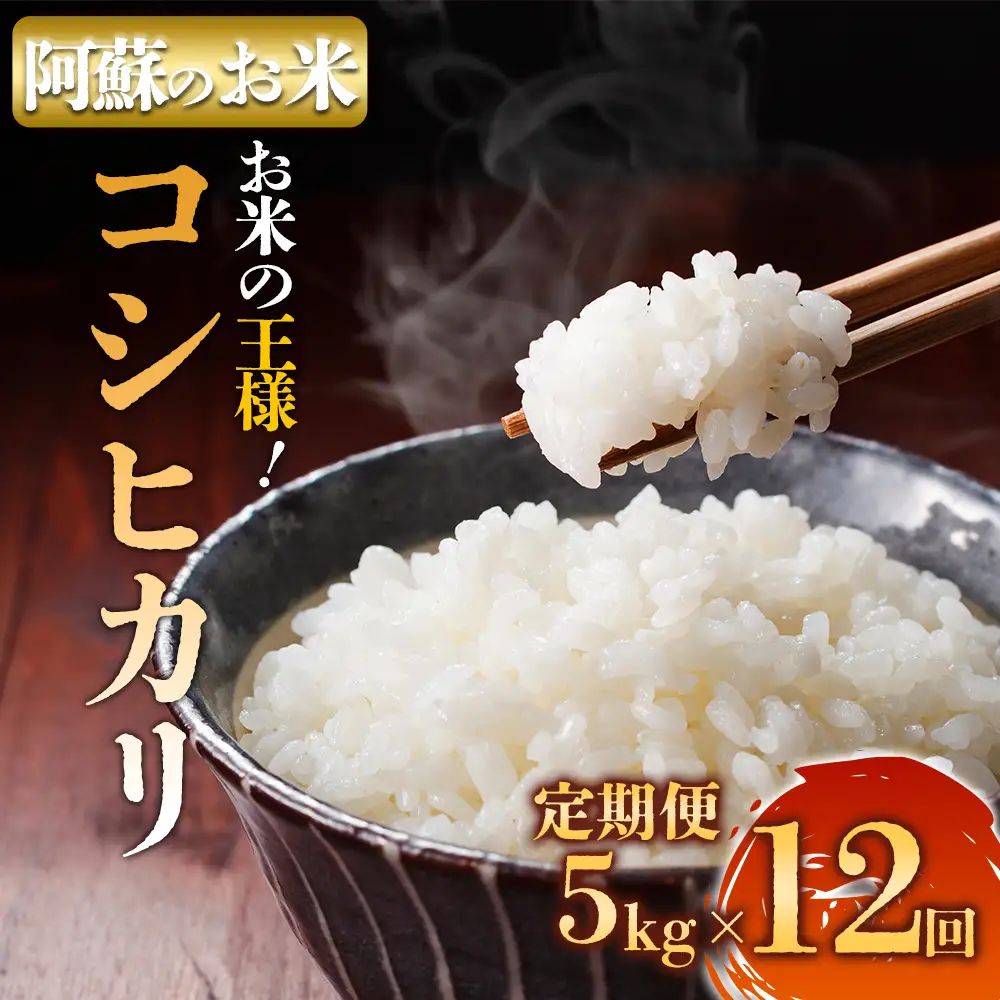 【選べる回数】【定期便12回】R7年産コシヒカリ 5kg プロ厳選の産地直送米 白米 お米 人気 美味しい 白ご飯 こだわり 農業 甘味 香り ツヤ お米の王様 熊本県 阿蘇市