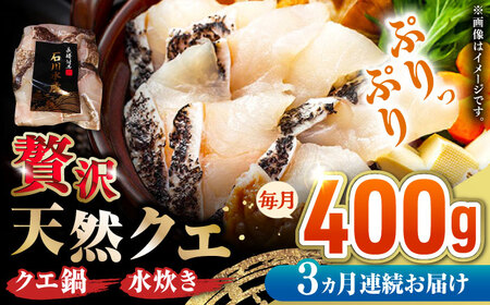 【全3回定期便】 【 対馬産 】 天然 クエ 400g （切り身）《対馬市》【石川水産】 鍋 水炊き 鮮度抜群 海鮮[WAB030]
