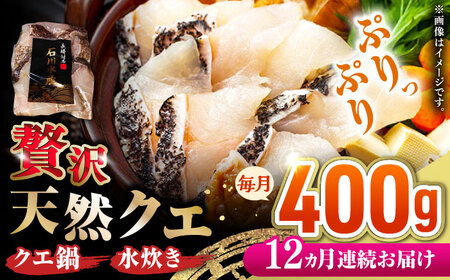 【全12回定期便】 【 対馬産 】 天然 クエ 400g （切り身）《対馬市》【石川水産】 鍋 水炊き 鮮度抜群 海鮮[WAB032]