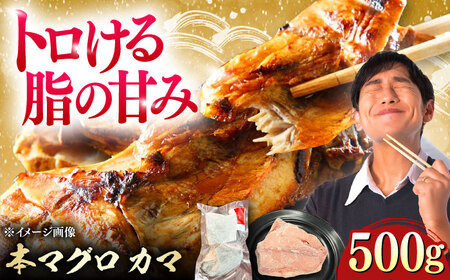 対馬産 本マグロ カマ 500g ≪対馬市≫【桐谷商店】 トロの華 対馬 新鮮 マグロ かま 鮪[WAQ091]