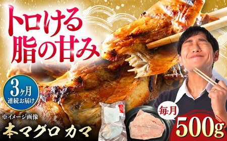 【全3回定期便】対馬産 本マグロ カマ 500g ≪対馬市≫【桐谷商店】 トロの華 対馬 新鮮 マグロ かま 鮪[WAQ092]