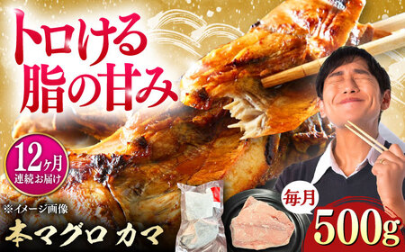 【全12回定期便】対馬産 本マグロ カマ 500g ≪対馬市≫【桐谷商店】 トロの華 対馬 新鮮 マグロ かま 鮪[WAQ094]